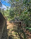 Casa Vale Verde (23).webp