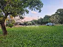 Terrenos Palmeiras Imperiais (2).webp