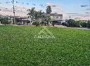 Terrenos Palmeiras Imperiais (6).webp