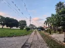 Terrenos Palmeiras Imperiais (5).webp