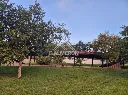 13_20260723_161718_0004.webp
