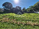 Cópia de Terrenos Palmeiras Imperiais (3).webp