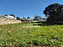 Cópia de Terrenos Palmeiras Imperiais (2).webp