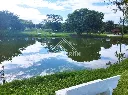 Cópia de Terrenos Palmeiras Imperiais (19).webp
